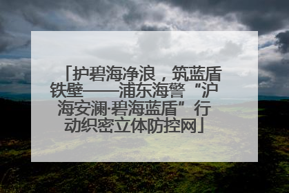 护碧海净浪，筑蓝盾铁壁——浦东海警“沪海安澜·碧海蓝盾”行动织密立体防控网