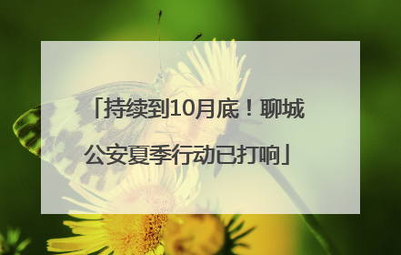 持续到10月底！聊城公安夏季行动已打响
