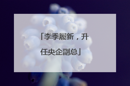李季履新，升任央企副总
