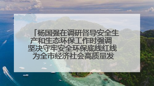 杨国强在调研督导安全生产和生态环保工作时强调 坚决守牢安全环保底线红线 为全市经济社会高质量发展提供坚强保障