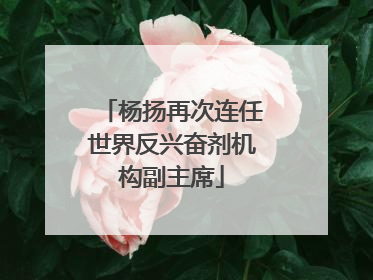杨扬再次连任世界反兴奋剂机构副主席