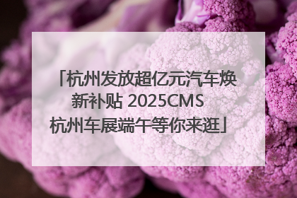 杭州发放超亿元汽车焕新补贴 2025CMS杭州车展端午等你来逛
