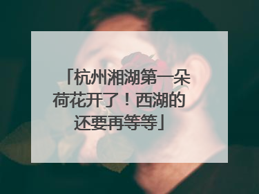 杭州湘湖第一朵荷花开了！西湖的还要再等等