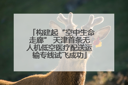 构建起“空中生命走廊” 天津首条无人机低空医疗配送运输专线试飞成功