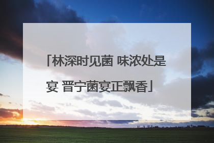 林深时见菌 味浓处是宴 晋宁菌宴正飘香