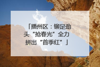 播州区：铆足劲头“抢春光”全力拼出“首季红”