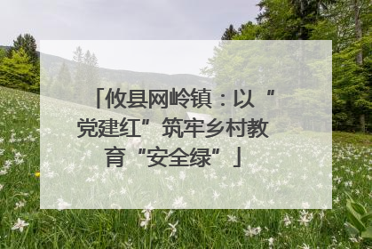 攸县网岭镇：以“党建红”筑牢乡村教育“安全绿”