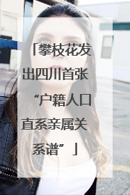 攀枝花发出四川首张“户籍人口直系亲属关系谱”