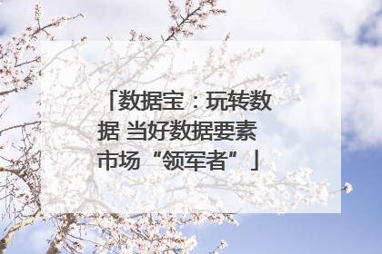 数据宝：玩转数据 当好数据要素市场“领军者”