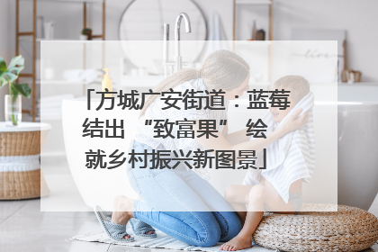 方城广安街道：蓝莓结出 “致富果” 绘就乡村振兴新图景