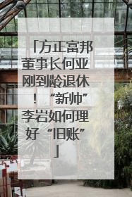 方正富邦董事长何亚刚到龄退休！“新帅”李岩如何理好“旧账”