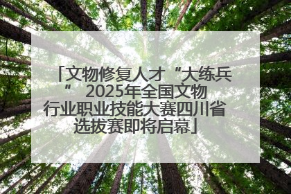 文物修复人才“大练兵” 2025年全国文物行业职业技能大赛四川省选拔赛即将启幕