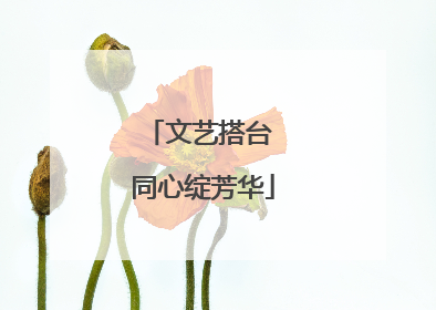 文艺搭台 同心绽芳华