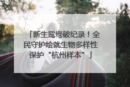 新生鸳鸯破纪录！全民守护绘就生物多样性保护“杭州样本”