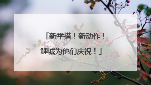 新举措！新动作！鲤城为他们庆祝！