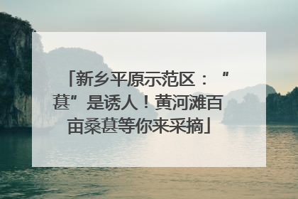 新乡平原示范区：“葚”是诱人！黄河滩百亩桑葚等你来采摘