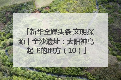 新华全媒头条·文明探源｜金沙遗址：太阳神鸟起飞的地方（10）