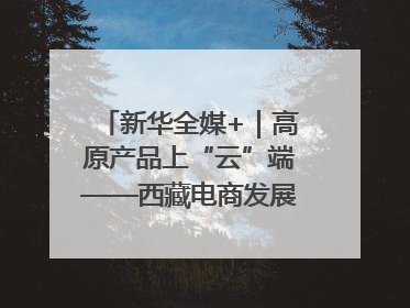 新华全媒+｜高原产品上“云”端——西藏电商发展一线观察