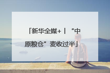 新华全媒+丨“中原粮仓”麦收过半