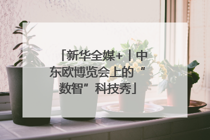 新华全媒+丨中东欧博览会上的“数智”科技秀