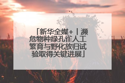 新华全媒+丨濒危物种绿孔雀人工繁育与野化放归试验取得关键进展