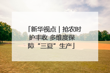 新华视点｜抢农时 护丰收 多维度保障“三夏”生产