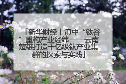 新华财经丨滇中“钛谷”重构产业经纬——云南楚雄打造千亿级钛产业集群的探索与实践