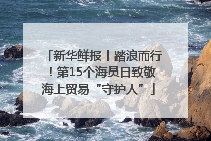 新华鲜报丨踏浪而行！第15个海员日致敬海上贸易“守护人”