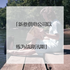 新蔡供电公司以练为战迎汛期