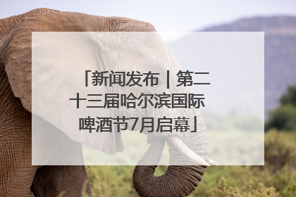 新闻发布｜第二十三届哈尔滨国际啤酒节7月启幕