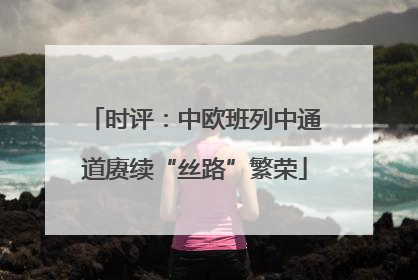 时评：中欧班列中通道赓续“丝路”繁荣
