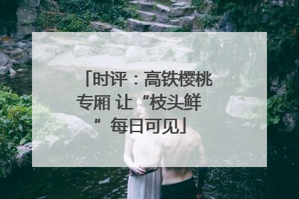 时评：高铁樱桃专厢 让“枝头鲜”每日可见