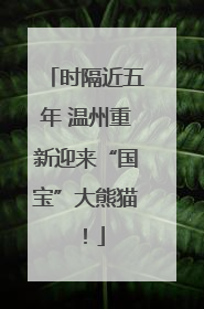 时隔近五年 温州重新迎来“国宝”大熊猫！