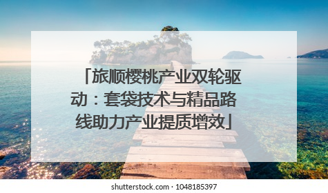 旅顺樱桃产业双轮驱动：套袋技术与精品路线助力产业提质增效