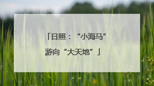 日照：“小海马”游向“大天地”