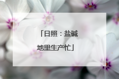 日照：盐碱地里生产忙