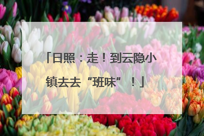 日照：走！到云隐小镇去去“班味”！