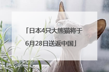 日本4只大熊猫将于6月28日送返中国