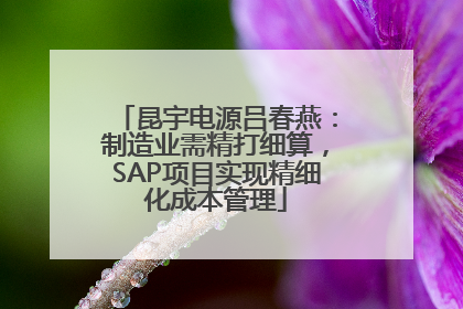 昆宇电源吕春燕：制造业需精打细算，SAP项目实现精细化成本管理