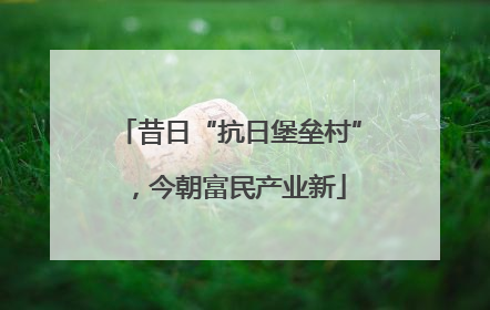 昔日“抗日堡垒村”，今朝富民产业新