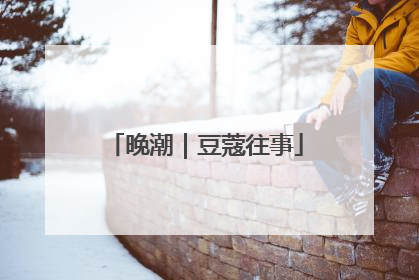 晚潮｜豆蔻往事