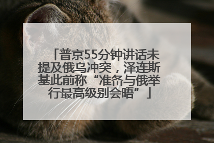 普京55分钟讲话未提及俄乌冲突，泽连斯基此前称“准备与俄举行最高级别会晤”