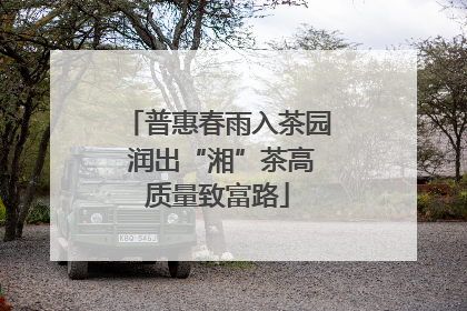 普惠春雨入茶园 润出“湘”茶高质量致富路