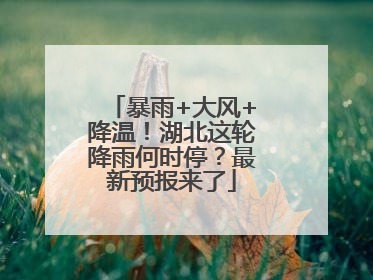 暴雨+大风+降温！湖北这轮降雨何时停？最新预报来了