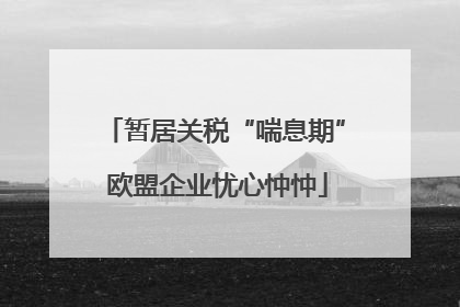 暂居关税“喘息期” 欧盟企业忧心忡忡