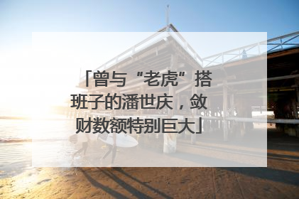 曾与“老虎”搭班子的潘世庆，敛财数额特别巨大