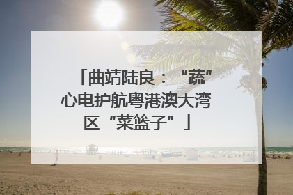 曲靖陆良：“蔬”心电护航粤港澳大湾区“菜篮子”