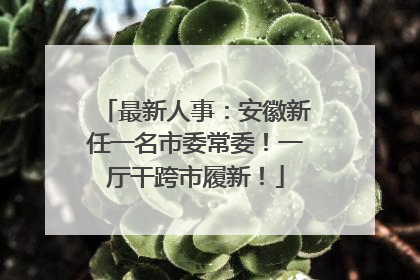 最新人事:安徽新任一名市委常委!一厅干跨市履新!