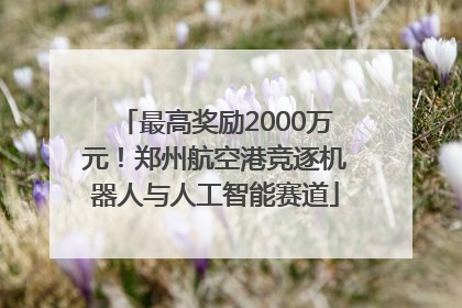 最高奖励2000万元！郑州航空港竞逐机器人与人工智能赛道