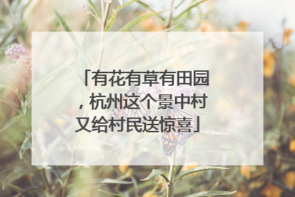有花有草有田园，杭州这个景中村又给村民送惊喜